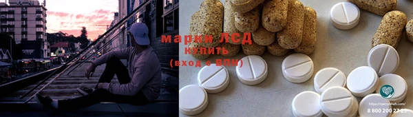 ГАЛЛЮЦИНОГЕННЫЕ ГРИБЫ Алексеевка