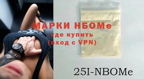 хмурый Алексин