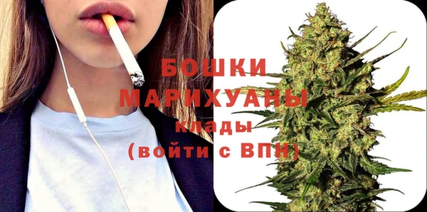 spice Алзамай