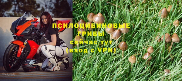 spice Алзамай