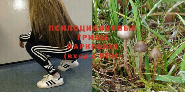 ГАЛЛЮЦИНОГЕННЫЕ ГРИБЫ Алексеевка