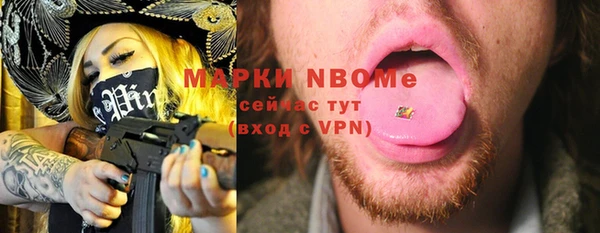 хмурый Алексин