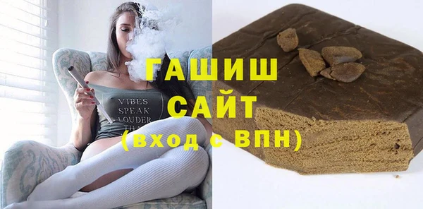 хмурый Алексин