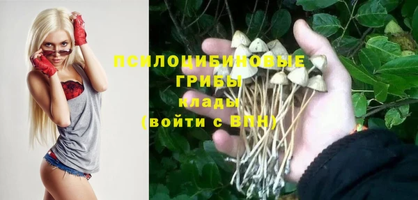 spice Арсеньев