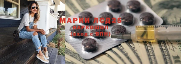 хмурый Алексин