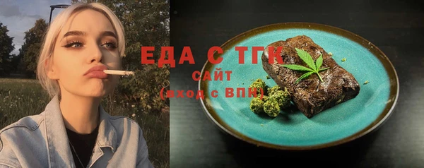 хмурый Алексин